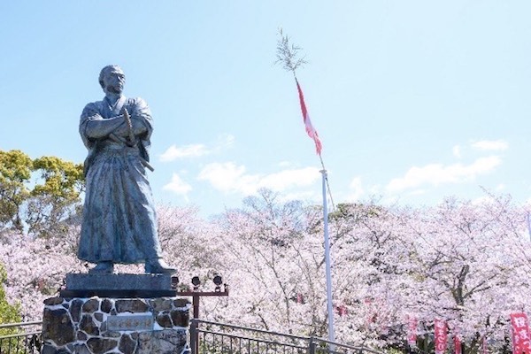 桜を見に｜相談支援事業所あおぞらブログ